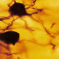 Lull : The Passing - Iceberg